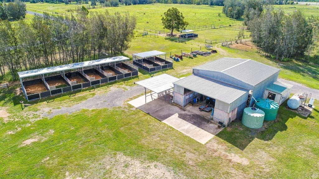 Severnlea Equestrian | 41 Main Green Swamp Rd, Spring Creek QLD 4343, Australia | Phone: 0424 873 154