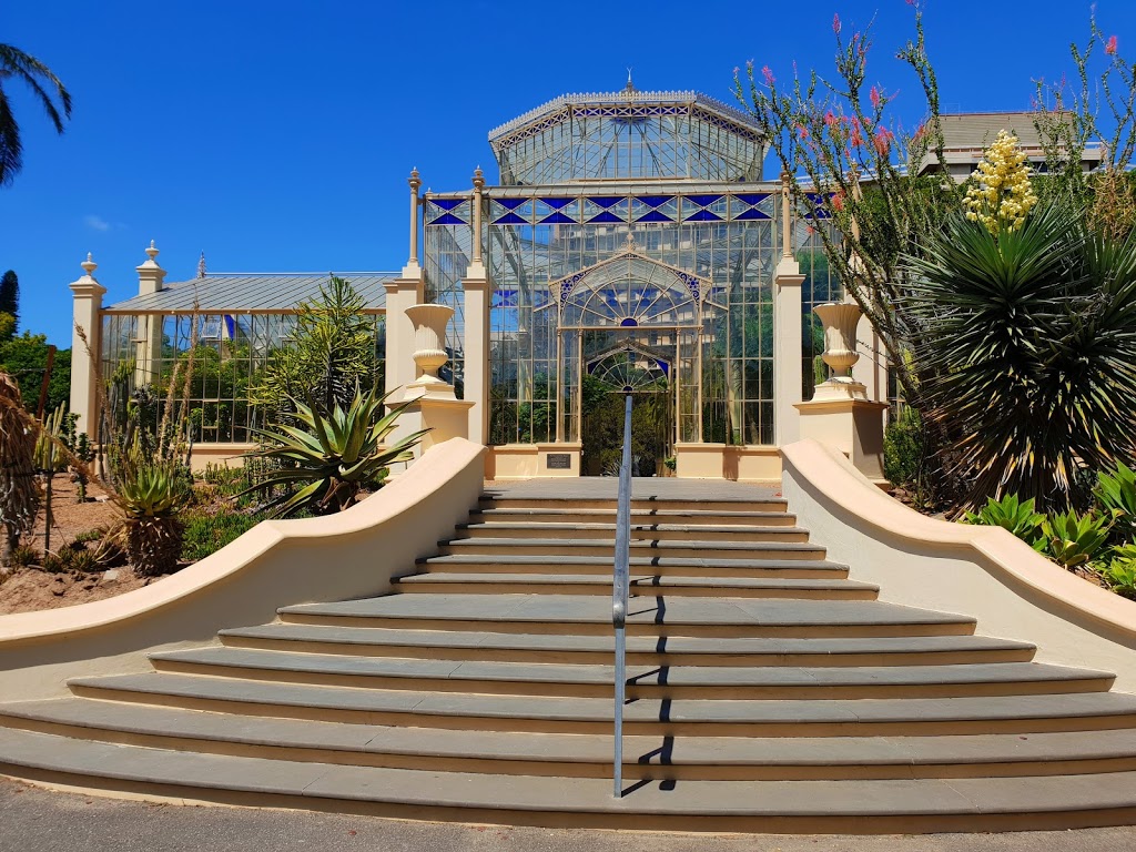 Palm House | park | North Terrace, Adelaide SA 5000, Australia | 0882229311 OR +61 8 8222 9311