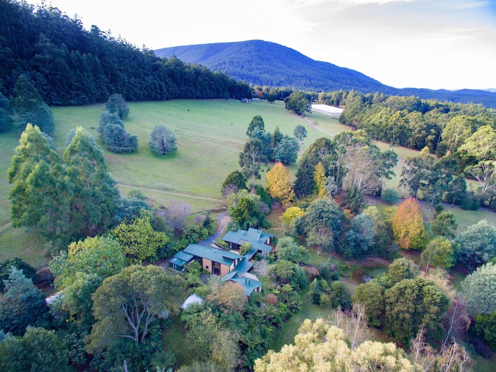 Cosy Mountain Retreat | Hazelwood Rd, East Warburton VIC 3799, Australia | Phone: 0455 252 222