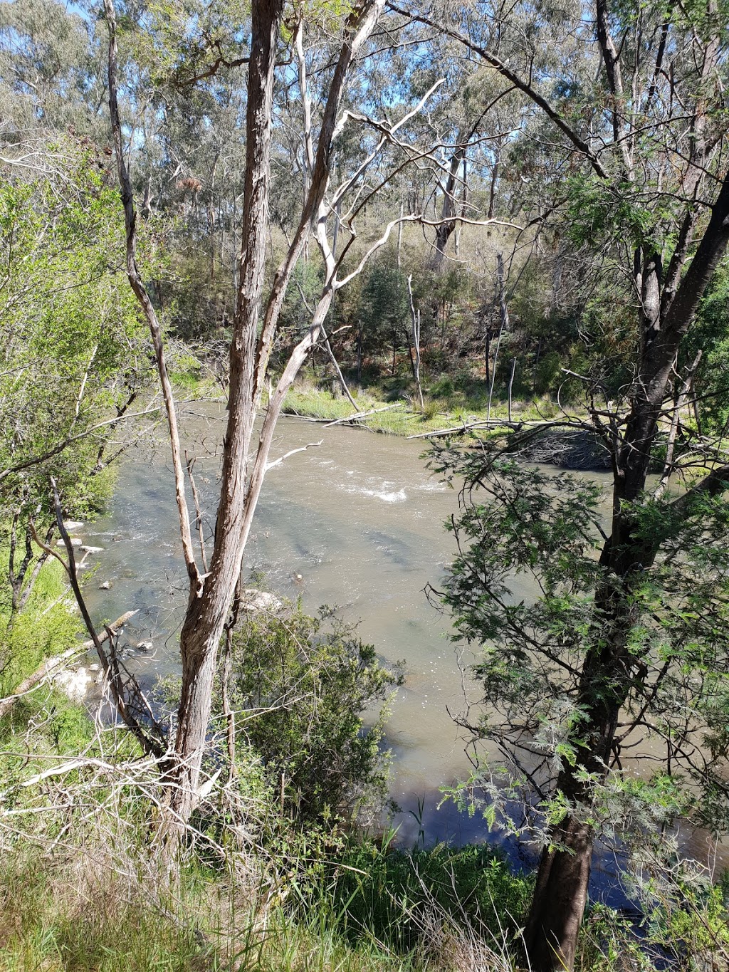 Jumping Creek Reserve | park | Jumping Creek Rd, North Warrandyte VIC 3113, Australia | 0386274700 OR +61 3 8627 4700