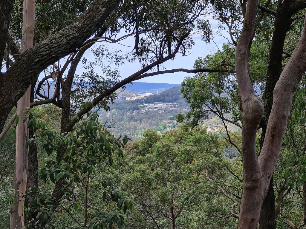 Banksia Picnic Area | Somersby NSW 2250, Australia | Phone: 1300 655 687