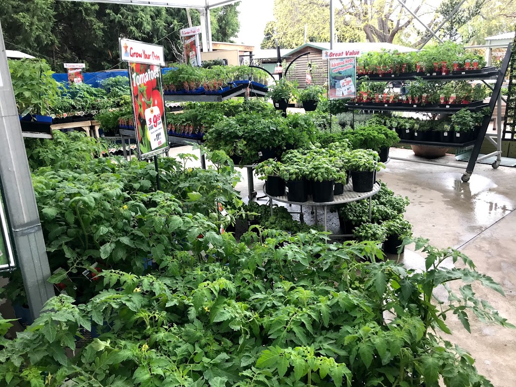 Rodneys Plants Plus | store | 24 Beltana Rd, Pialligo ACT 2609, Australia | 0262486933 OR +61 2 6248 6933