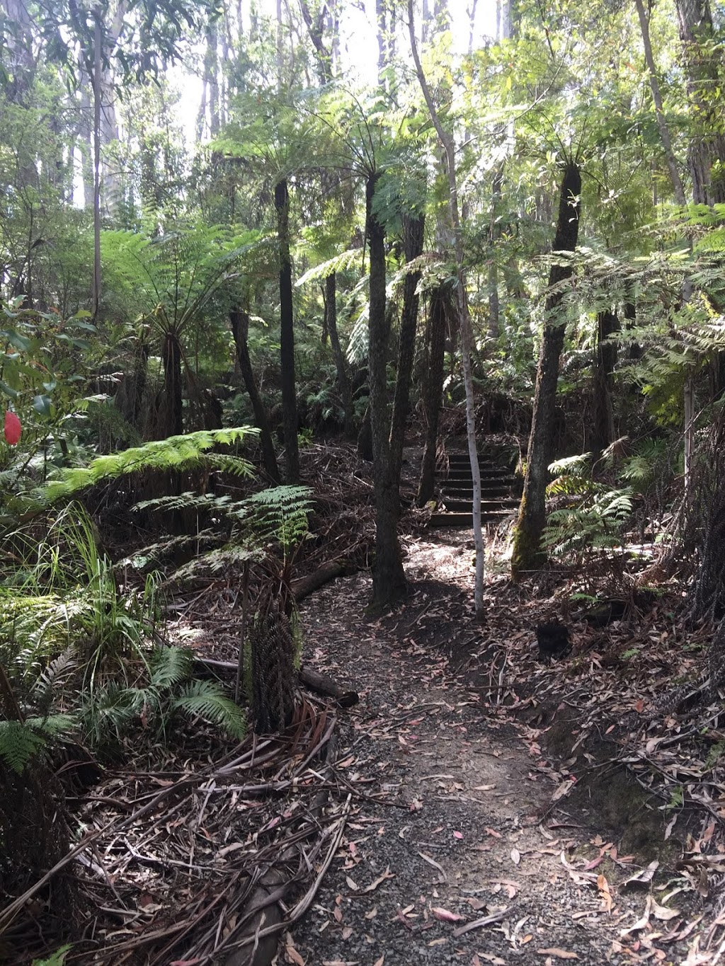 Falls Creek Trail Memorial | Falls Creek Memorial Trail, Cabbage Tree Creek VIC 3889, Australia