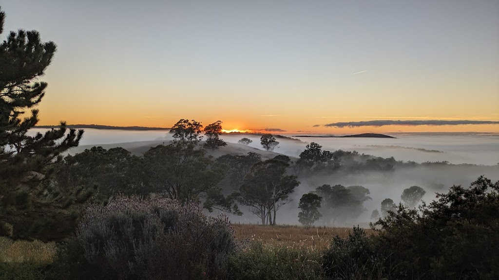 Greenwich Park Wines | 1924 Towrang Rd, Greenwich Park NSW 2580, Australia | Phone: 0412 106 758