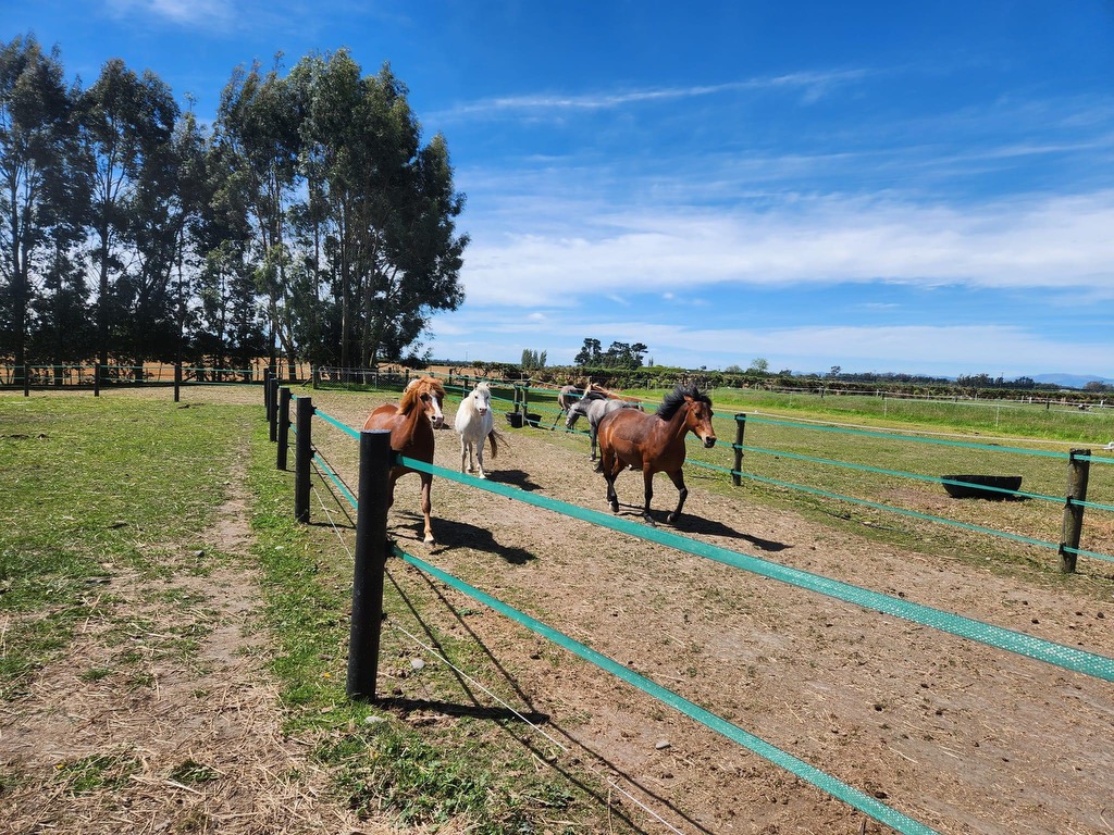 Equisolaus Pty Ltd | Tyaak VIC 3658, Australia | Phone: 0461 259 721