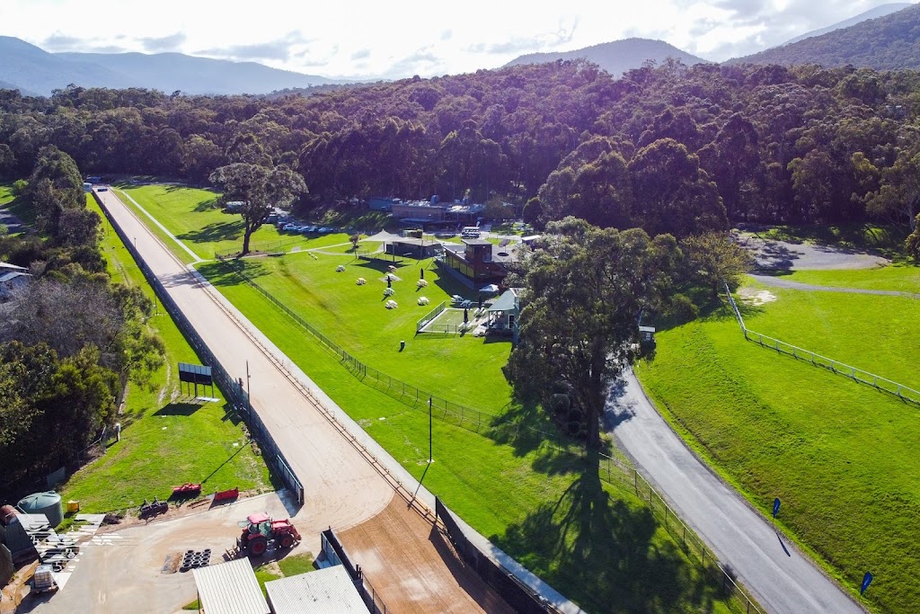 Healesville Greyhounds | 263 Don Rd, Healesville VIC 3777, Australia | Phone: (03) 5962 2420