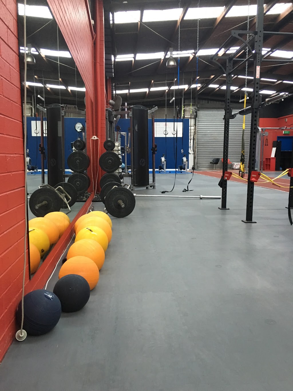 Myofunction Personal Training Studio | gym | 71 Weston St, Brunswick VIC 3056, Australia | 0393870800 OR +61 3 9387 0800