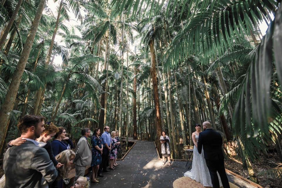 Debbie Payne, Celebrant | Valley View Ct, Samsonvale QLD 4520, Australia | Phone: 0408 010 317