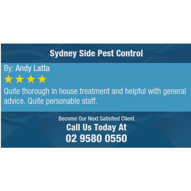 Sydney Side Pest Control | home goods store | 34/6-12 Carrington Ave, Hurstville NSW 2220, Australia | 0295800550 OR +61 2 9580 0550