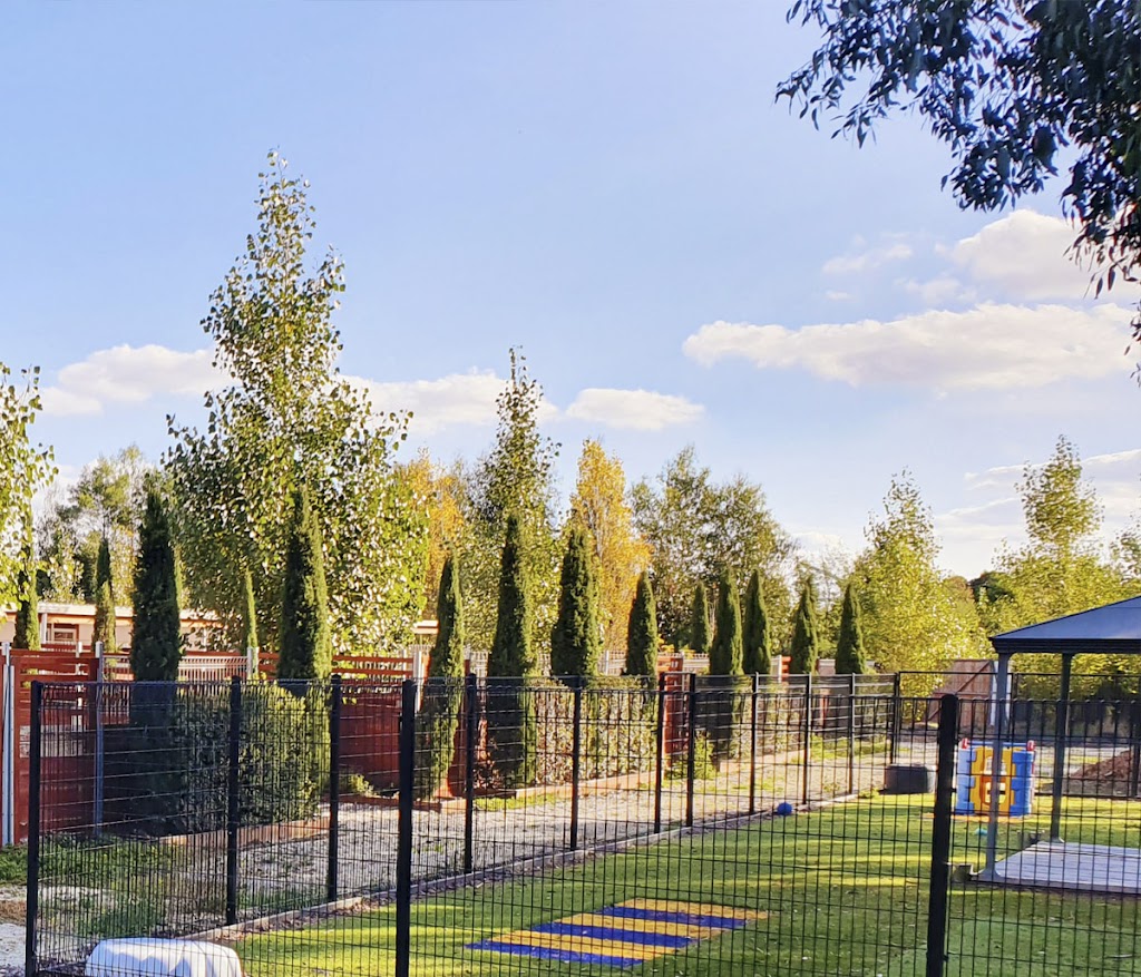 Bredwell Puppies | 3120 Ballan-Meredith Rd, Ballan VIC 3342, Australia | Phone: 0480 637 226