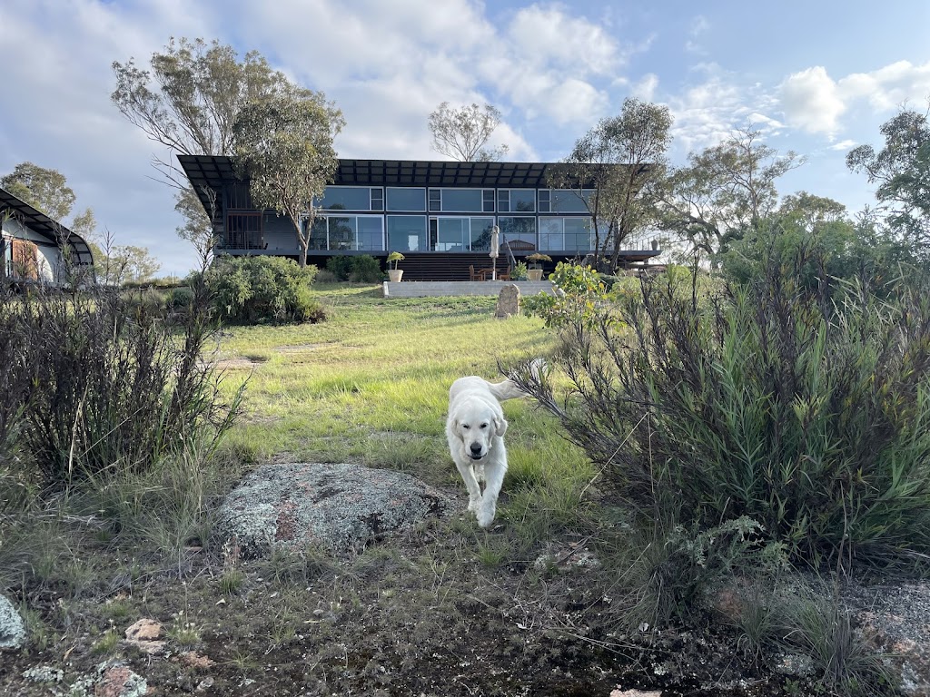 Rock Forest Vineyard | 12 Pine Ridge Rd, Rock Forest NSW 2795, Australia | Phone: 0418 165 070