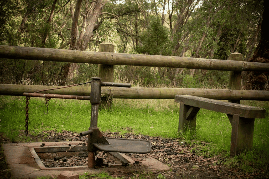 Free Rein Adventure | 310 Quarry Rd, Yallourn North VIC 3825, Australia | Phone: (03) 4137 8312