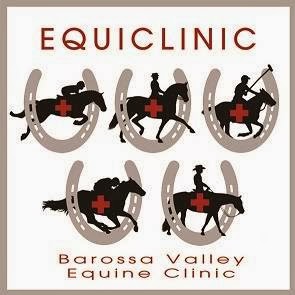 EquiClinic | dentist | 104 Precolumb Rd, One Tree Hill SA 5114, Australia | 0407441667 OR +61 407 441 667