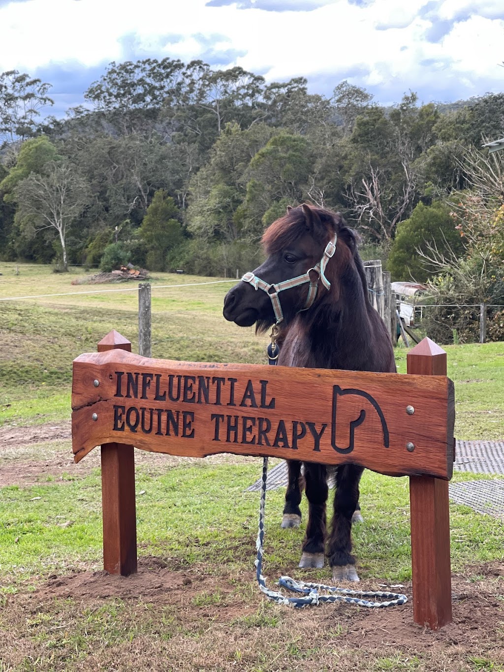 Influential Equine Therapy | health | 131 Footts Rd, Ourimbah NSW 2258, Australia | 0490958842 OR +61 490 958 842