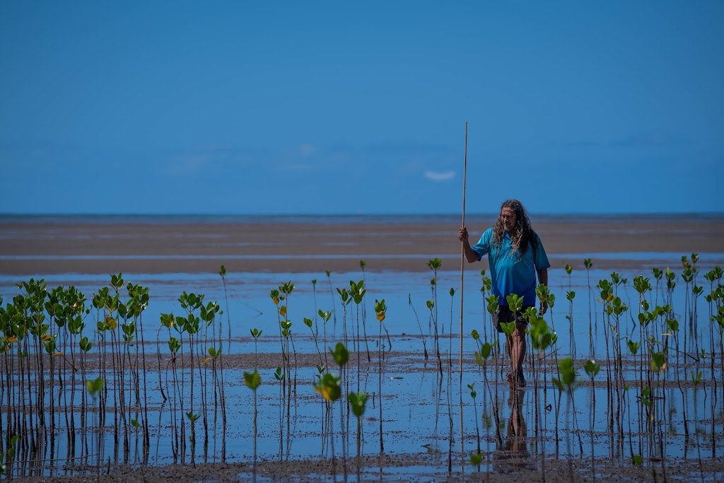 Kuku Yalanji Cultural Habitat Tours | 1 Palm St, Cooya Beach QLD 4873, Australia | Phone: 0403 403 528