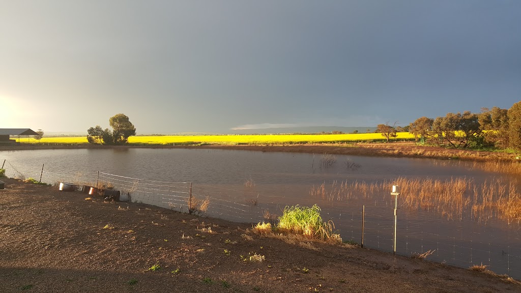 ANDERSON FARMS |  | 1628 Woolshed Flat Rd, Halbury SA 5461, Australia | 0428791985 OR +61 428 791 985