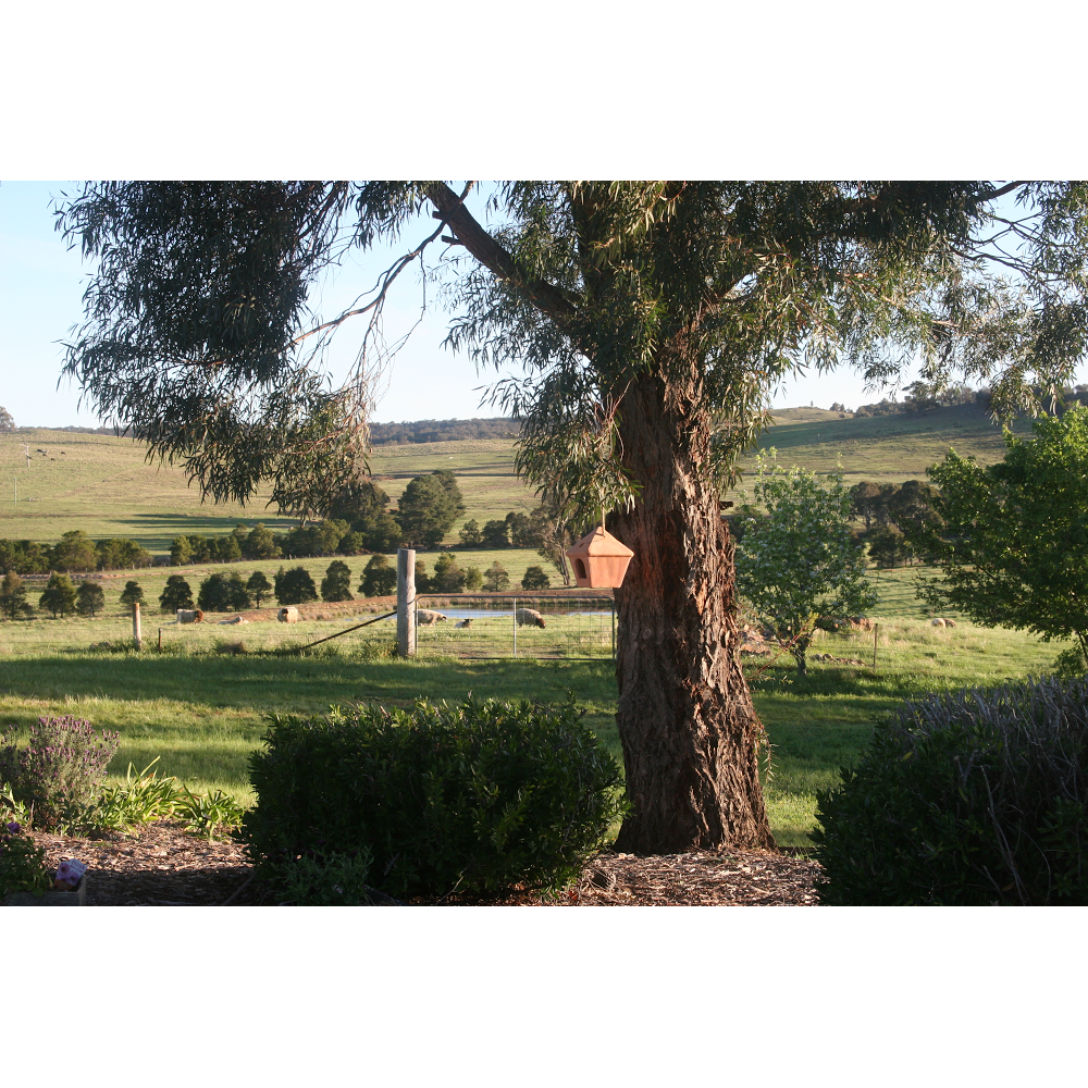 ecoolivefarmstay@gmail.com | 28 Arthursleigh Rd, Big Hill NSW 2579, Australia | Phone: 0406 161 903