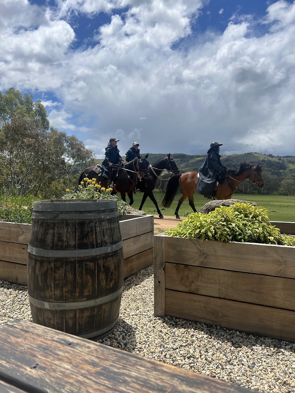 The Herb Garden at The Trawool Estate | 8150 Goulburn Valley Hwy, Trawool VIC 3660, Australia | Phone: (03) 5792 1444