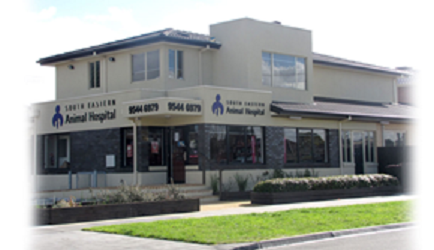 South Eastern Animal Hospital | veterinary care | 1357 Centre Rd, Clayton VIC 3168, Australia | 0395446979 OR +61 3 9544 6979