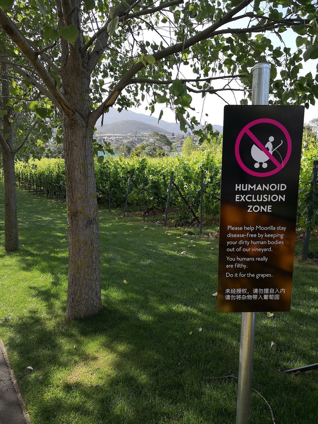 Wineries & Vineyards | 651-655 Main Rd, Berriedale TAS 7011, Australia | Phone: (03) 6277 9900 Wineries & Vineyards | 651-655 Main Rd, Berriedale TAS 7011, Australia | Phone: (03) 6277 9900