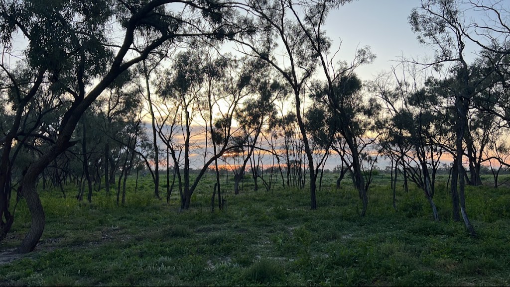 Tolarno station | tourist attraction | 4370 Pooncarie Rd, Menindee NSW 2879, Australia | 0427917403 OR +61 427 917 403