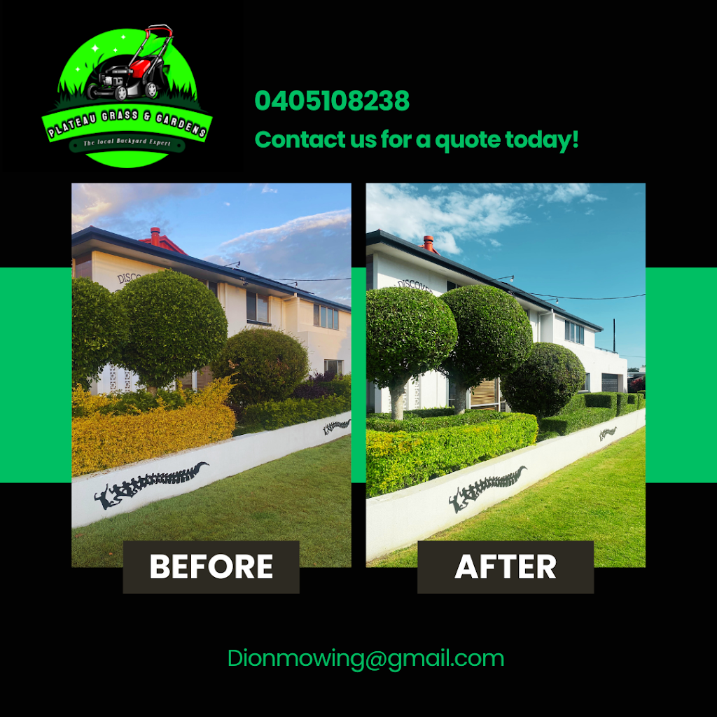 Plateau Grass & Gardens | 47 Alston Ave, Alstonville NSW 2477, Australia | Phone: 0405 108 238 Plateau Grass & Gardens | 47 Alston Ave, Alstonville NSW 2477, Australia | Phone: 0405 108 238