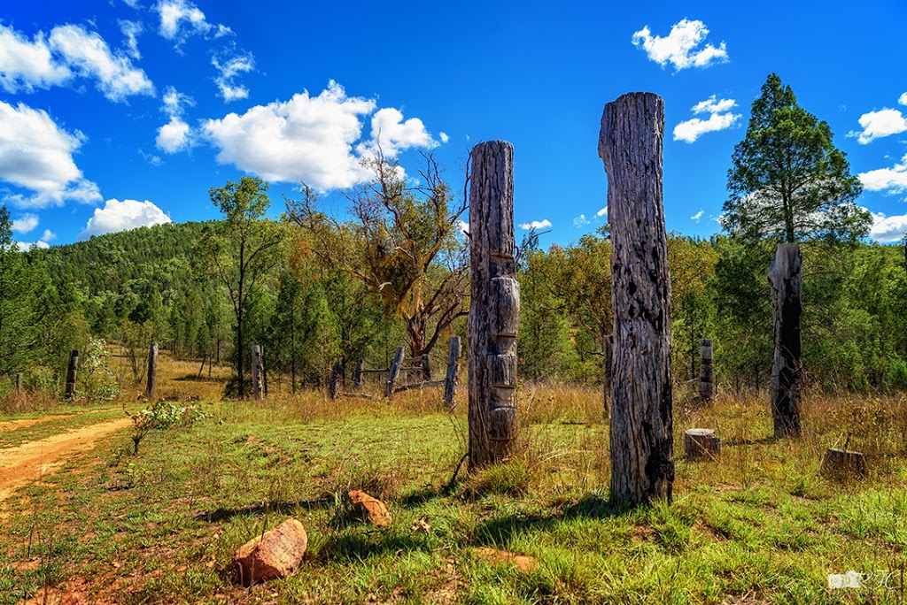 Reedy Waterhole Camping Area | campground | Sundown QLD 4380, Australia | 137468 OR +61 137468