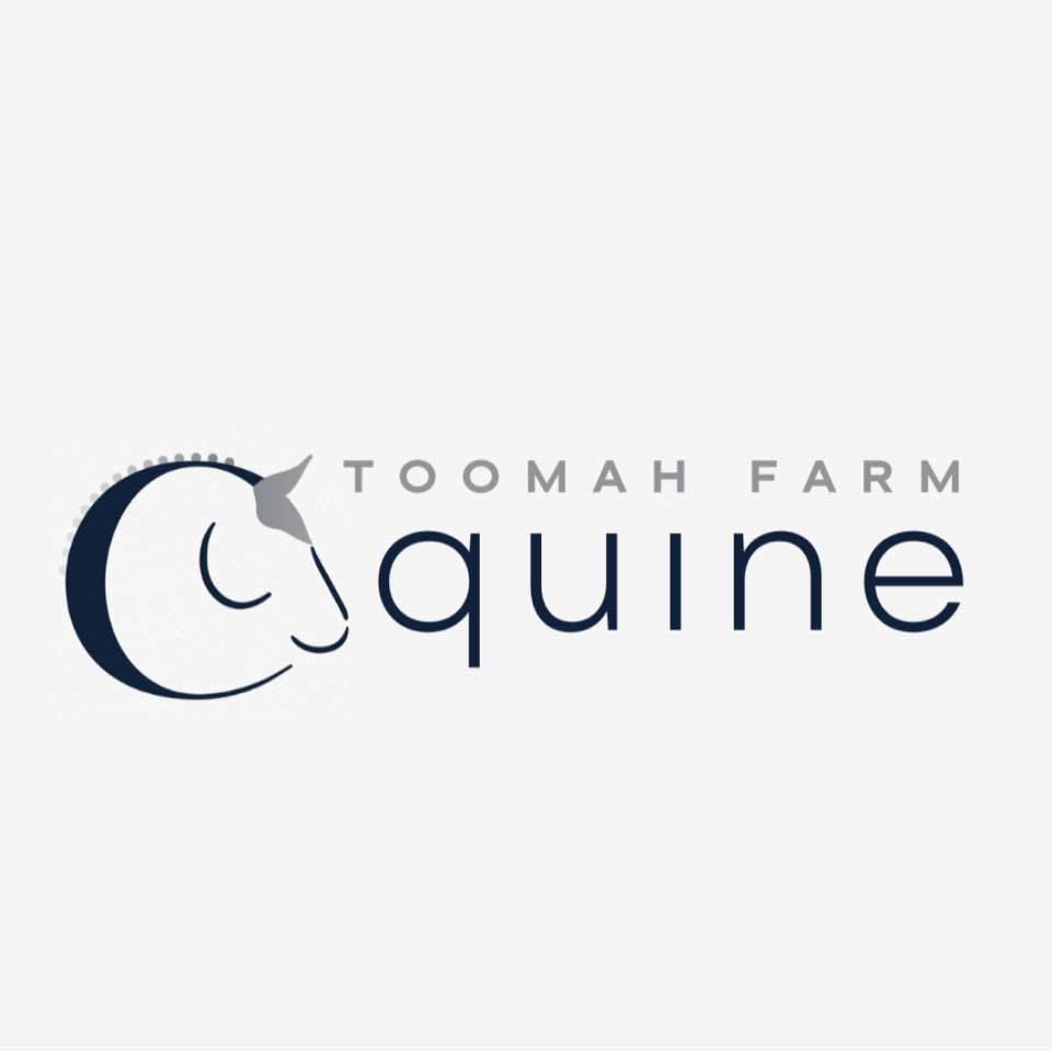 Toomah Farm Equine | 455 Toomuc Valley Rd, Pakenham VIC 3810, Australia | Phone: 0432 899 023