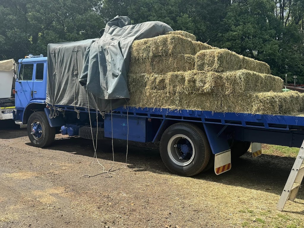 North Coast Skip Bins | 465 Rous Rd, Tregeagle NSW 2480, Australia | Phone: 0427 242 142