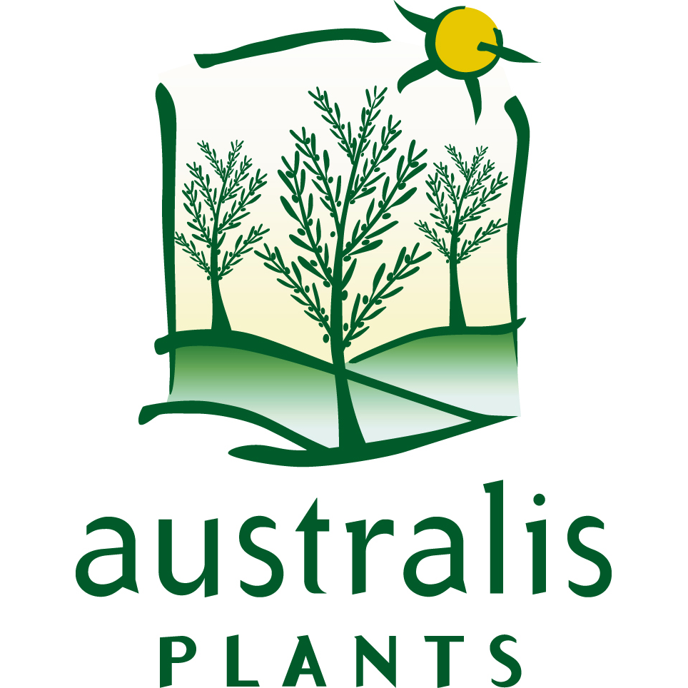 Australis Tree Farm Highfields | 432 Meringandan Rd, Kleinton QLD 4352, Australia | Phone: (07) 4696 8792