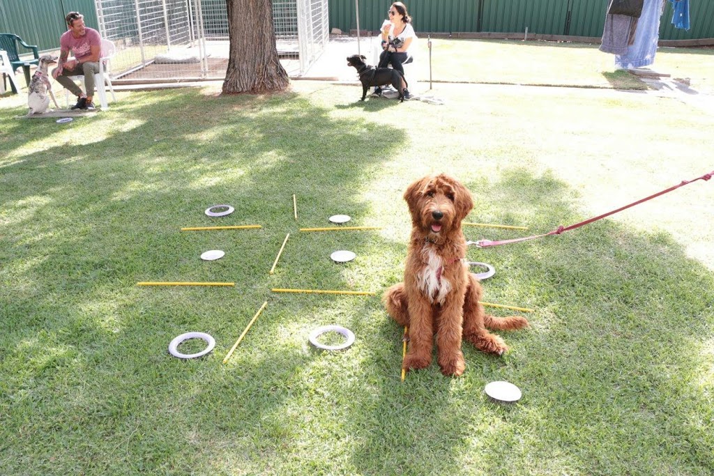 Polite Paws Dog Training, Puppy Preschool, Manners Classes, Beha | 350 Bull Ridge Rd, East Kurrajong NSW 2758, Australia | Phone: 0432 633 250