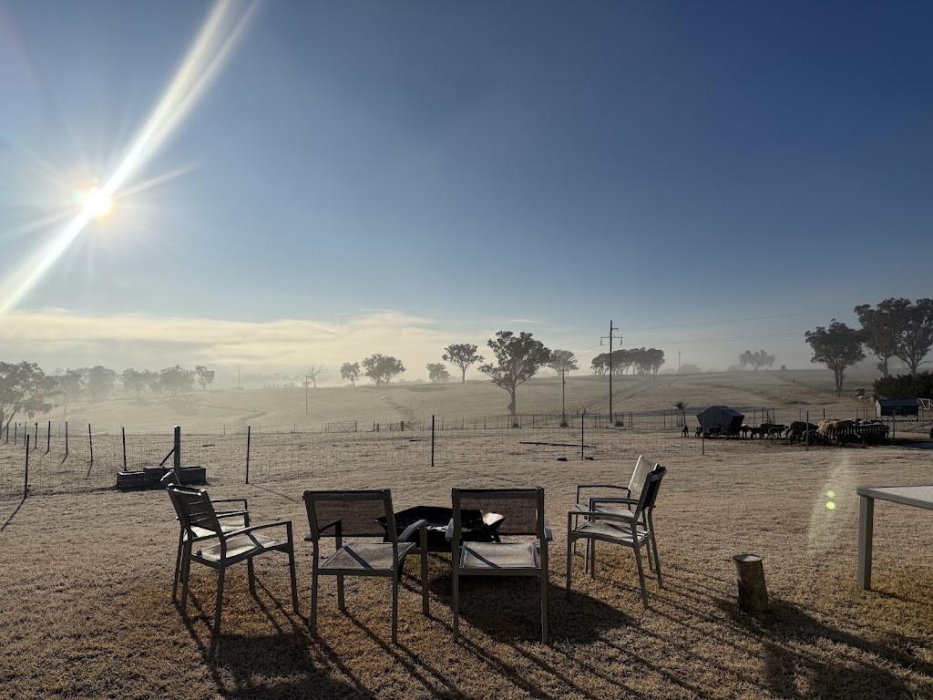 Red Hill Farmstay | 1554 Mid Western Hwy, Evans Plains NSW 2795, Australia | Phone: 0412 621 554