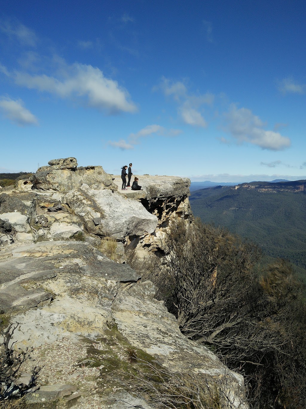 Monolith Constructions | 152 Tableland Rd, Wentworth Falls NSW 2782, Australia | Phone: (02) 4757 1499