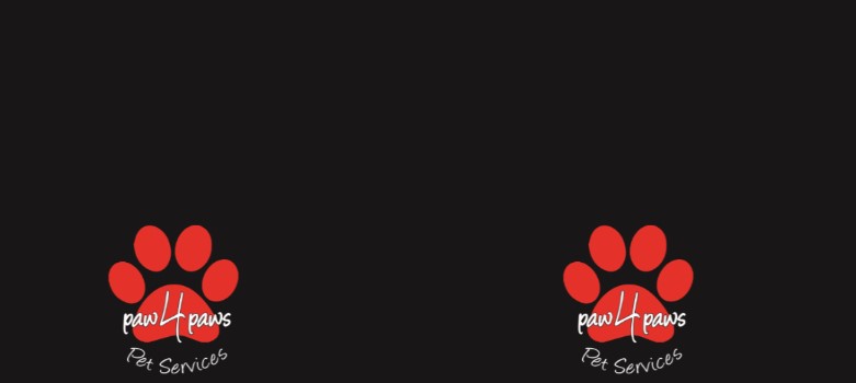 paw4paws Pet Services | Mortimer Terrace, Leneva VIC 3691, Australia | Phone: 0499 694 408