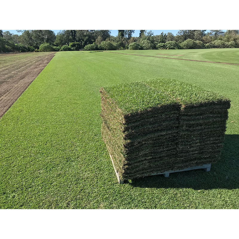 Best Turf | 20 Shelley Ave, Bundoora VIC 3083, Australia | Phone: 0412 098 002
