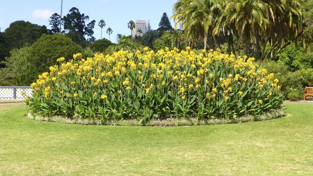 Choo Choo Express | park | Royal Botanic Gardens, Mrs Macquaries Rd, Sydney NSW 2000, Australia | 0417001911 OR +61 417 001 911