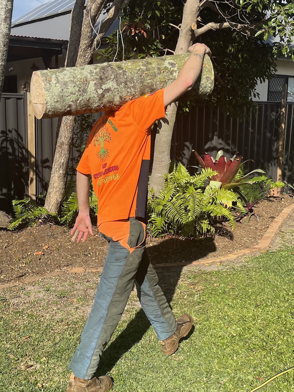COLOURFUL TREE LOPPING STUMP GRINDING | 44A Oyster Point Esplanade, Scarborough QLD 4020, Australia | Phone: 0438 988 985