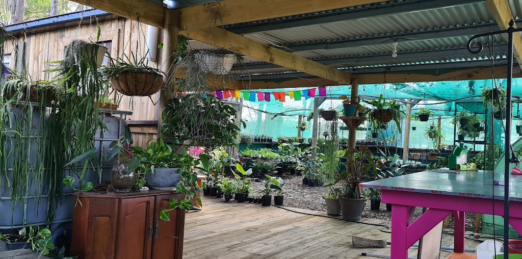 The Wonky Pot Plant Nursery | 259 Averys Ln, Buchanan NSW 2323, Australia | Phone: 0421 852 229