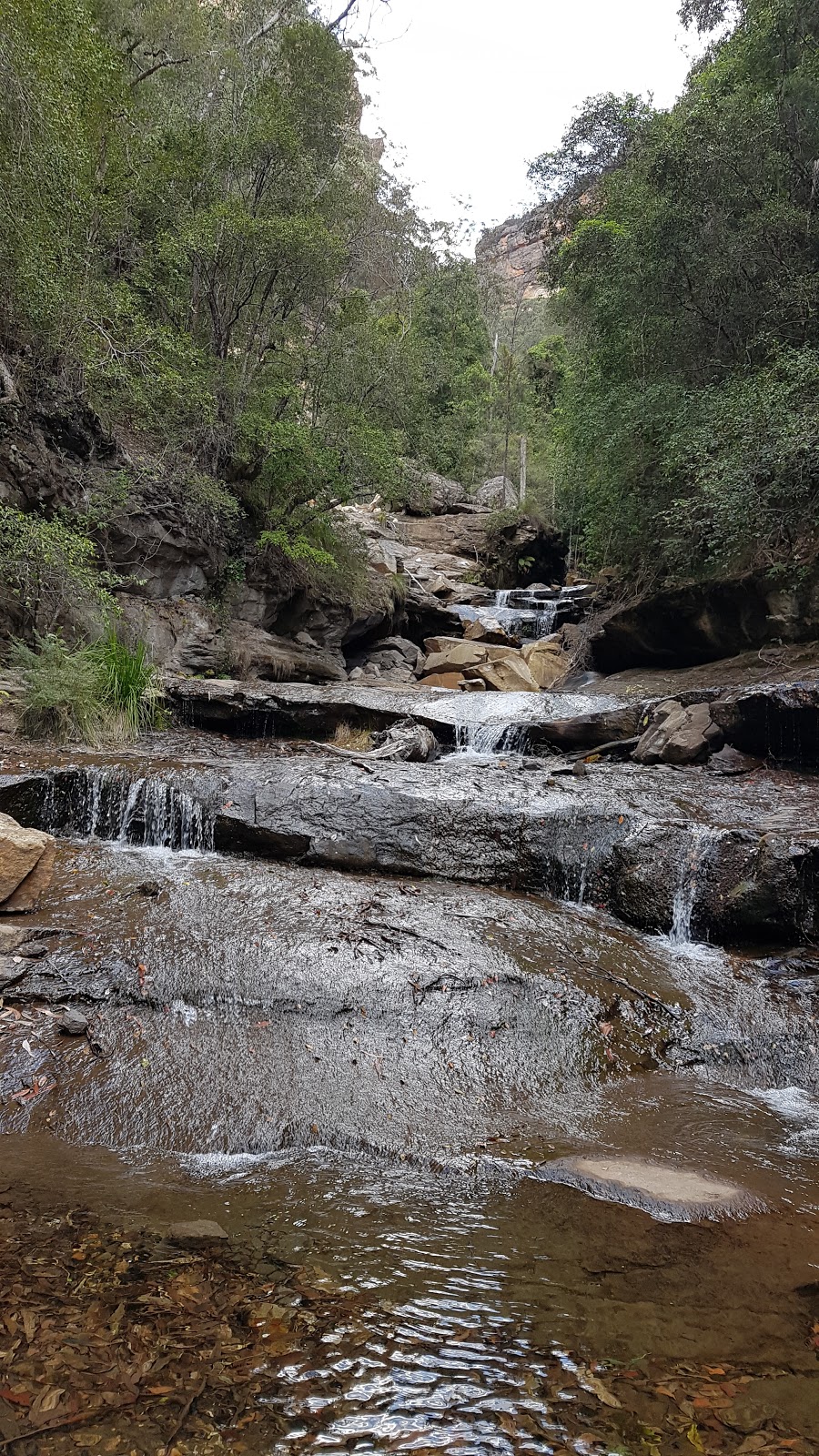 Grand Canyon Car Park | parking | 394 Evans Lookout Rd, Blackheath NSW 2785, Australia