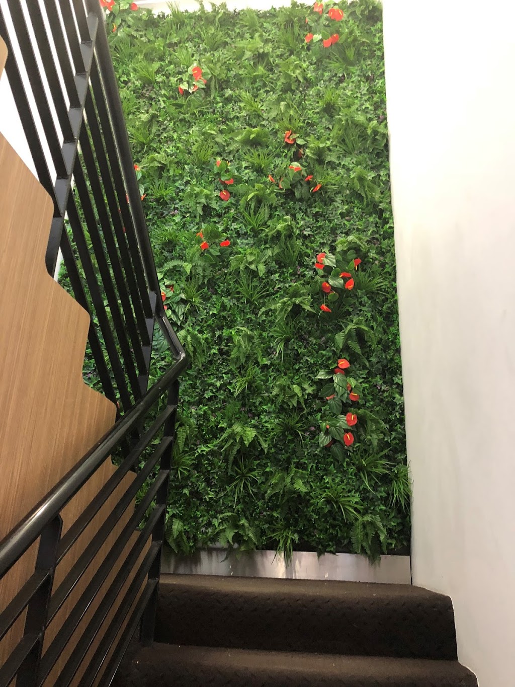 Plant Vision | 17 Corporate Terrace, Pakenham VIC 3810, Australia | Phone: (03) 9707 4555