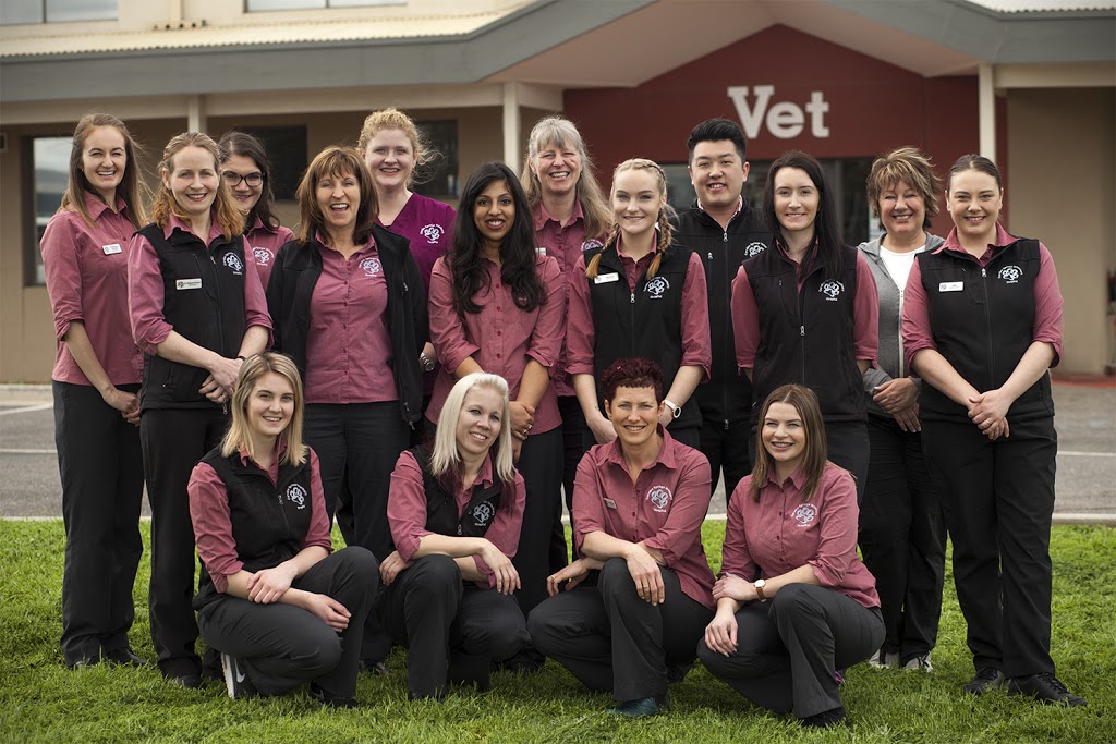 Caroline Springs Veterinary Hospital | 225-227 Caroline Springs Blvd, Caroline Springs VIC 3023, Australia | Phone: (03) 8390 2266