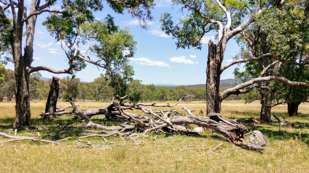 Mount Yarrowyck Nature Reserve | Yarrowyck NSW 2358, Australia