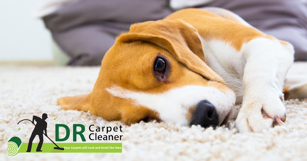 JDR Carpet Cleaning | laundry | 62 Medworth Cres, Lyneham ACT 2602, Australia | 0421151248 OR +61 421 151 248