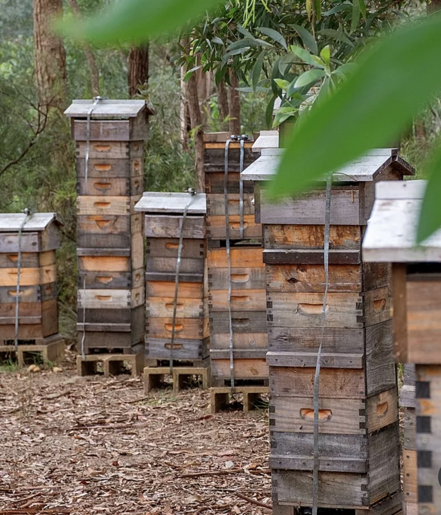 Reibey Estate | 1115 W Portland Rd, Lower Portland NSW 2756, Australia | Phone: 0406 273 091