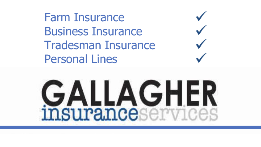 Gallagher Insurance Services | insurance agency | 140 Tenth St, Mildura VIC 3500, Australia | 0350233044 OR +61 3 5023 3044