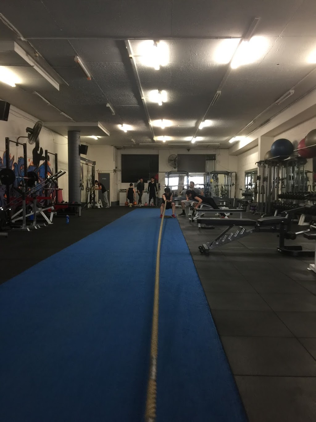 Elite Human Performance | health | 240 Inkerman St, Balaclava VIC 3183, Australia | 0417721261 OR +61 417 721 261