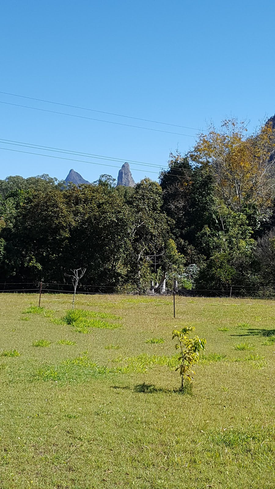 Glass House Mountains State School | 58 Coonowrin Rd, Glass House Mountains QLD 4518, Australia | Phone: (07) 5439 3222