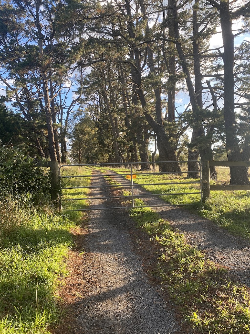 Southern Highlands Horsemanship | 44 Ringwood Ln, Exeter NSW 2579, Australia | Phone: 0413 145 345