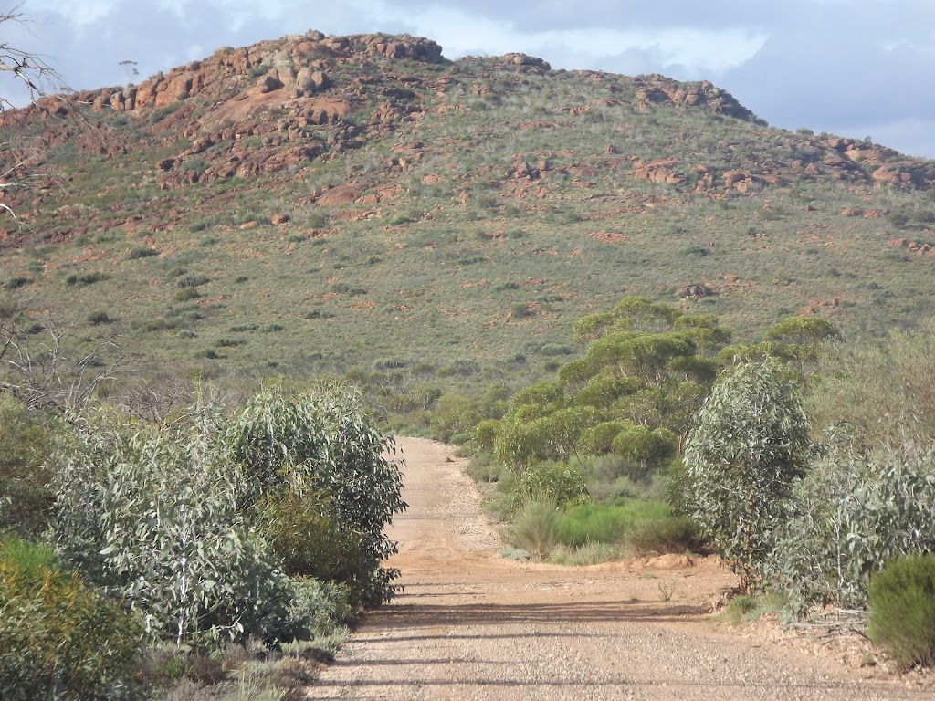 The Great Western Woodlands | 117 Roberts St, Norseman WA 6443, Australia | Phone: 0400 908 834