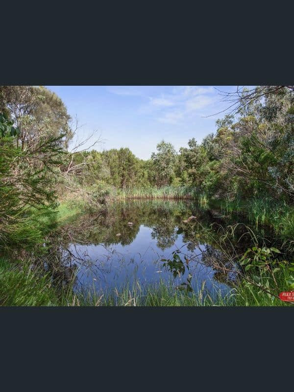 Honeys Retreat | 33 Honeys Rd, Wonthaggi VIC 3995, Australia | Phone: 0492 444 382